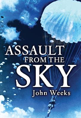 Book cover for Assault From the Sky