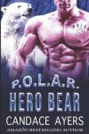 Book cover for Hero Bear
