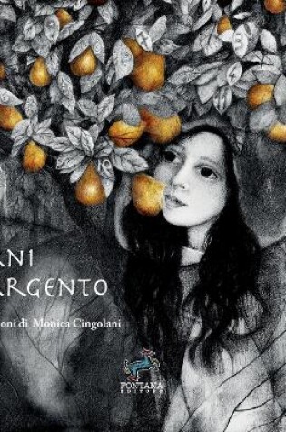 Cover of Mani d'argento - Una crescita interiore