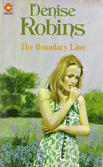 Book cover for Boundary Line