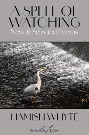 Cover of A Spell of Watching