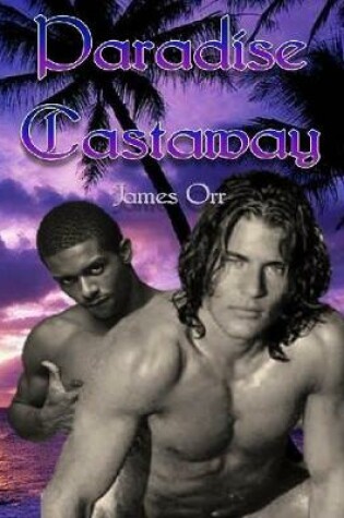 Cover of Paradise Castaway