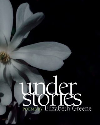 Book cover for Understories