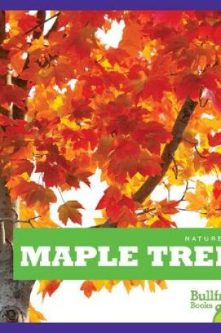 Cover of Maple Trees