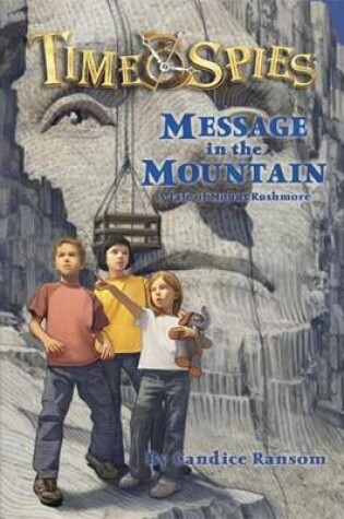 Cover of Message in the Mountain