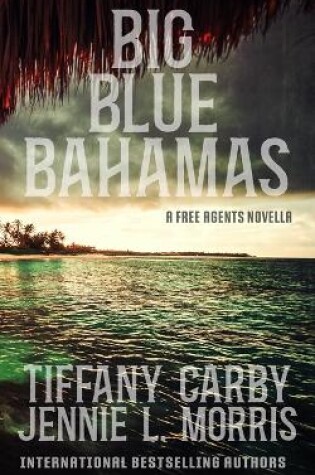 Cover of Big Blue Bahamas
