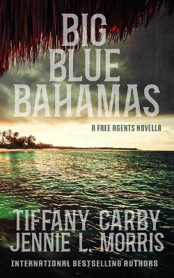 Book cover for Big Blue Bahamas