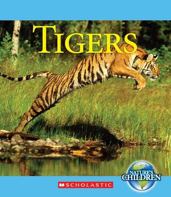 Cover of Tigers