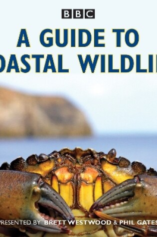 Cover of A Guide to Coastal Wildlife