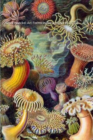 Cover of Ernst Haeckel Art Forms in Nature (Plates 26-50)