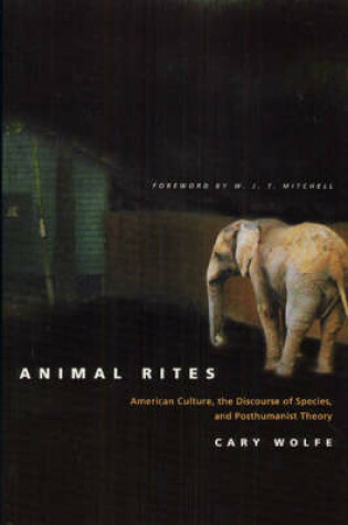 Cover of Animal Rites