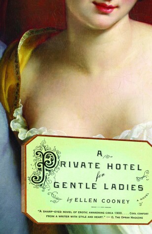 Book cover for A Private Hotel for Gentle Ladies