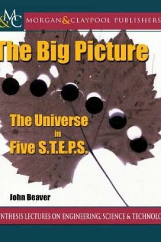 Cover of The Big Picture