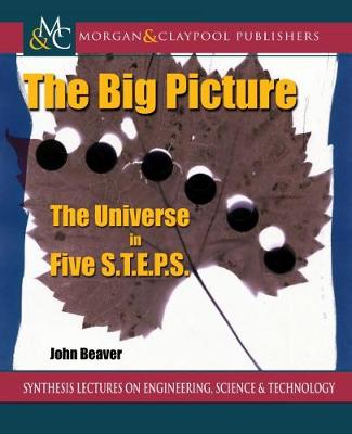 Cover of The Big Picture