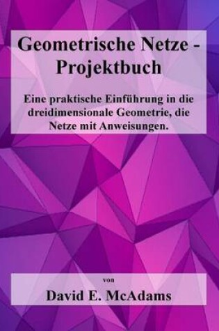 Cover of Geometrische Netze - Projektbuch