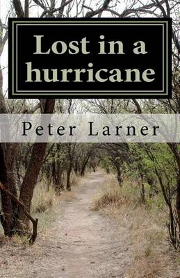 Book cover for Lost in a hurricane