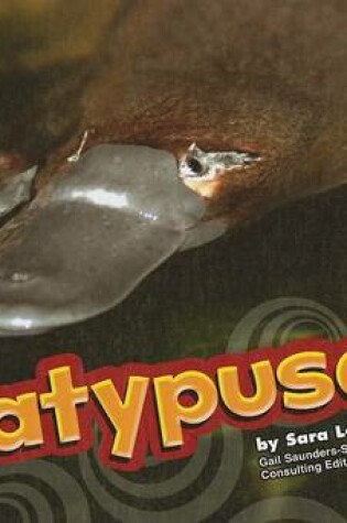 Cover of Platypuses