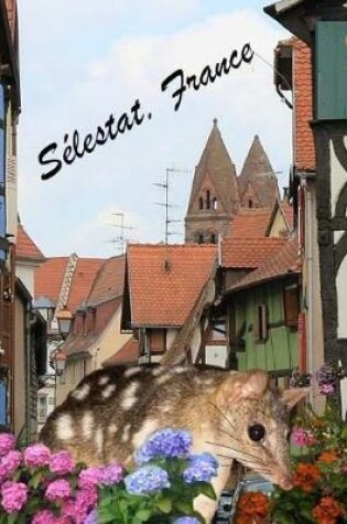 Cover of Selestat, France