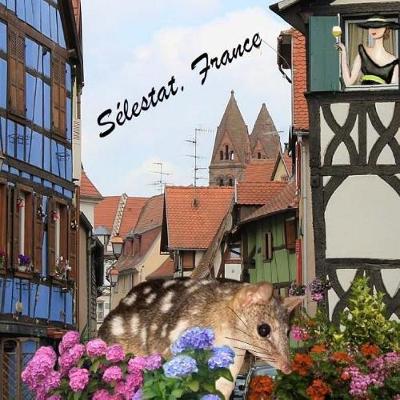 Book cover for Selestat, France