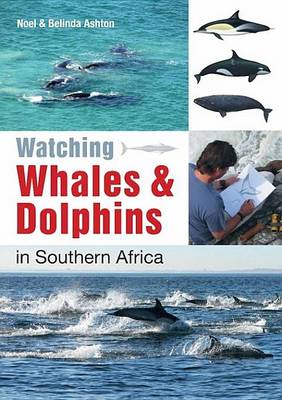 Book cover for Southern African Sea Life - A Guide for Young Explorers