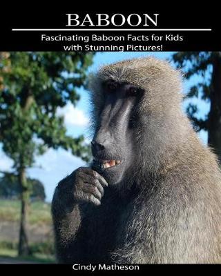 Book cover for Baboon