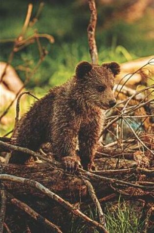 Cover of Brown Bear in the Wild