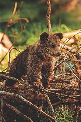 Book cover for Brown Bear in the Wild