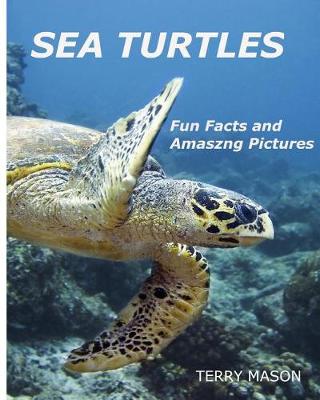 Book cover for Sea Turtles