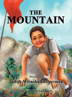 Book cover for The Mountain