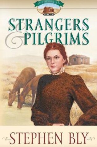 Cover of Strangers & Pilgrims