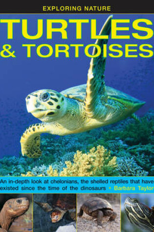 Cover of Exploring Nature: Turtles & Tortoises