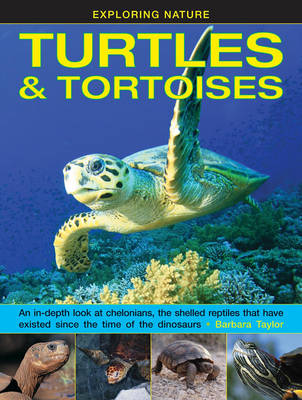 Book cover for Exploring Nature: Turtles & Tortoises