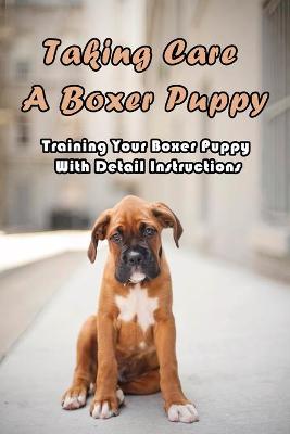 Book cover for Taking Care A Boxer Puppy