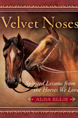 Cover of Velvet Noses