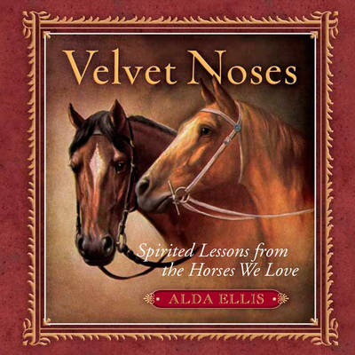 Book cover for Velvet Noses