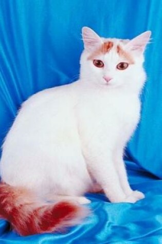 Cover of 2020 Daily Planner Pretty Kitty White Cat Photo 388 Pages