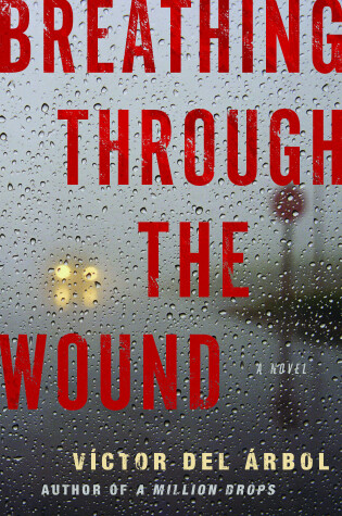 Cover of Breathing Through The Wound