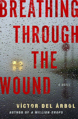 Book cover for Breathing Through The Wound