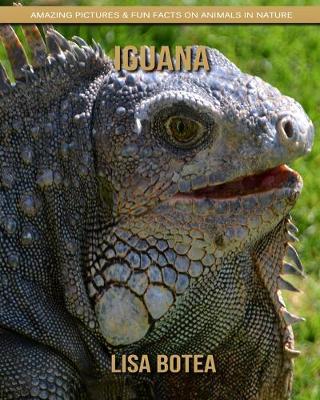 Book cover for Iguana