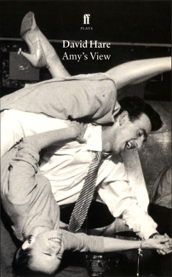 Book cover for Amy's View