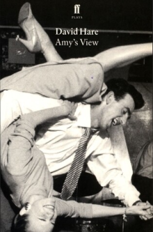 Cover of Amy's View