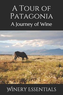 Book cover for A Tour of Patagonia