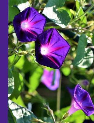 Book cover for Vibrant Purple Morning Glory Blank Notebook