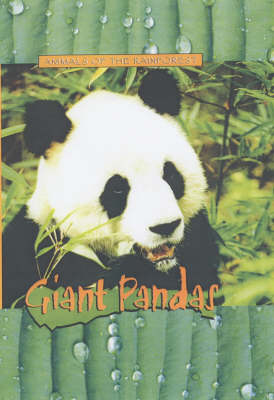 Book cover for Giant Pandas