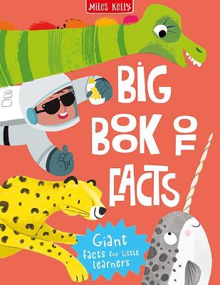 Book cover for Big Book of Facts