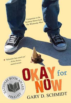 Book cover for Okay for Now