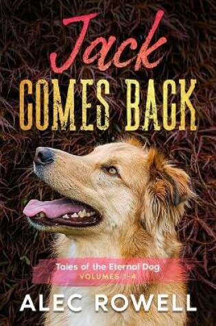 Cover of Jack Comes Back