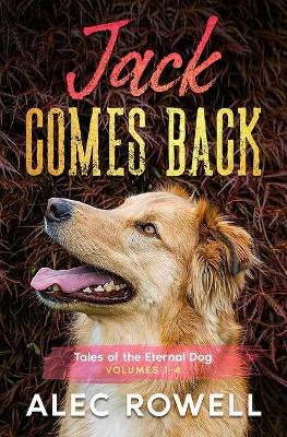 Cover of Jack Comes Back