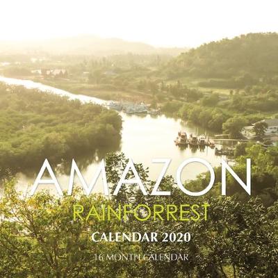 Book cover for Amazon Rainforrest Calendar 2020