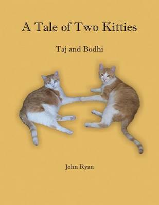 Book cover for A Tale of Two Kitties